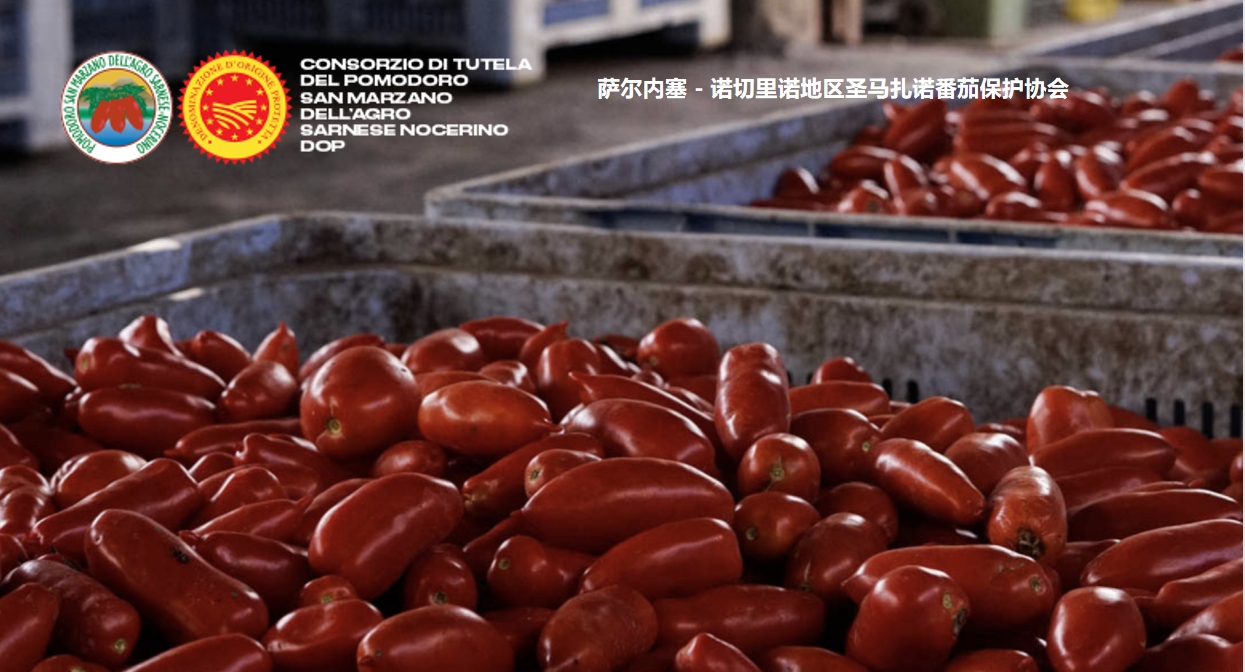微信截图_20250219115203.png